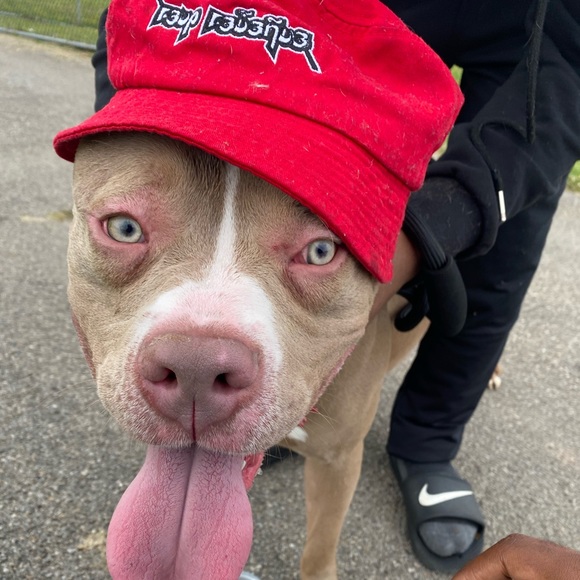 Meet your Posher, Rr - Picture 1 of 1